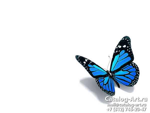  Butterflies 81